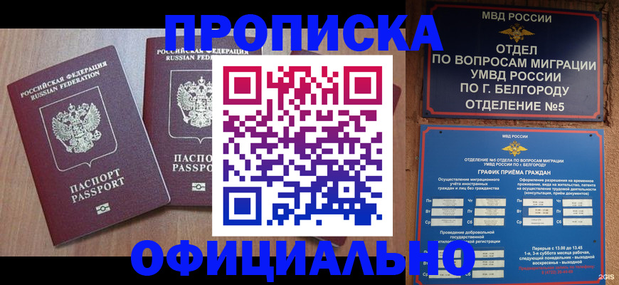 найти адрес прописки в Солнечногорске